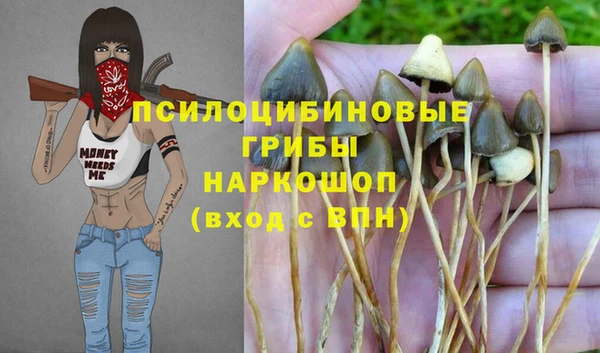 прущие крисы Долгопрудный