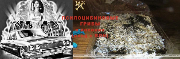 альфа пвп Орехово-Зуево