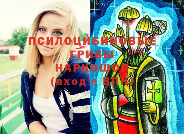 прущие крисы Долгопрудный