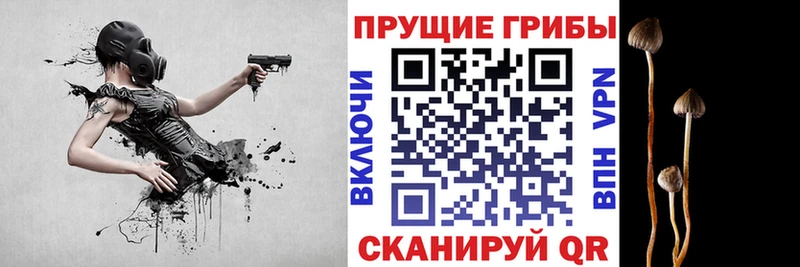 Галлюциногенные грибы GOLDEN TEACHER Асбест