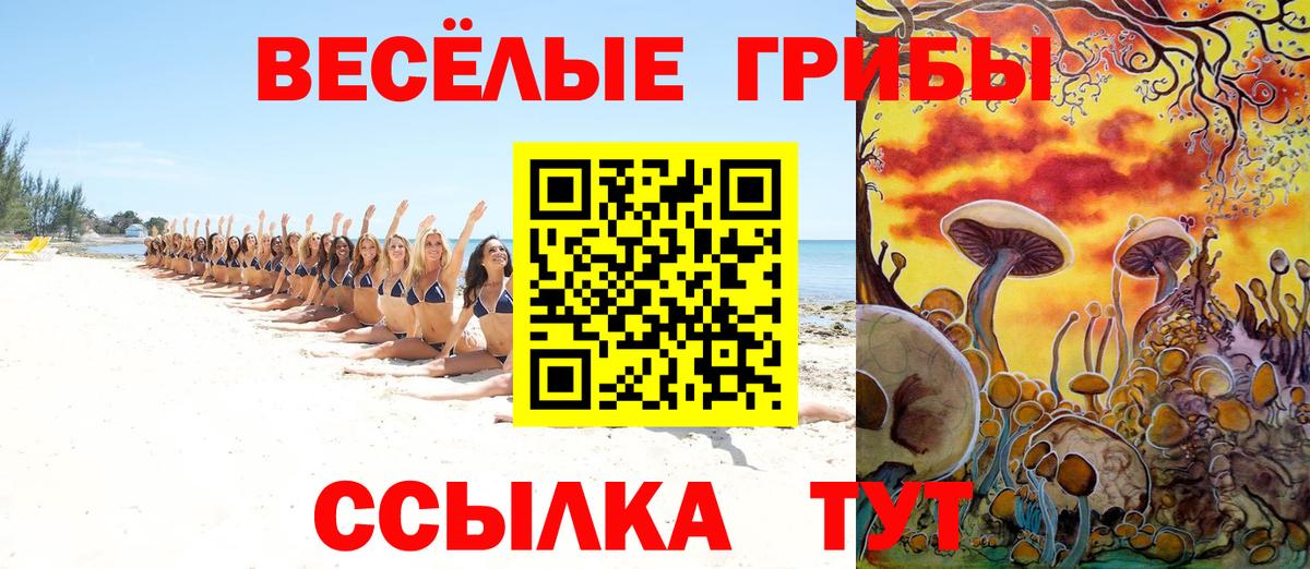 Галлюциногенные грибы мицелий Асбест