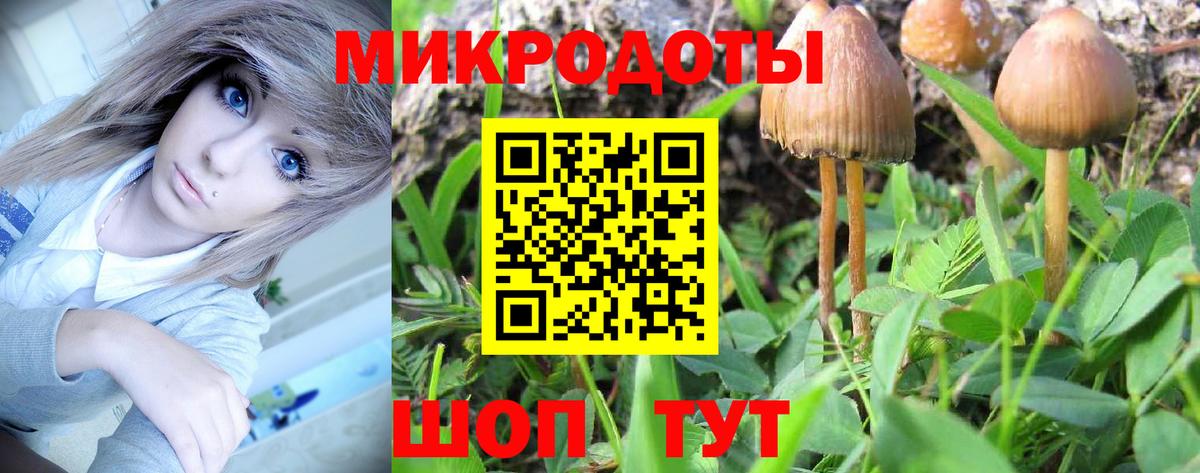 Псилоцибиновые грибы Psilocybine cubensis Асбест