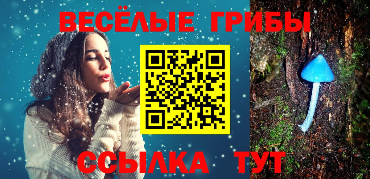 Асбест  Галлюциногенные грибы Psilocybe  Вход с VPN  Галлюциногенные грибы прущие грибы 